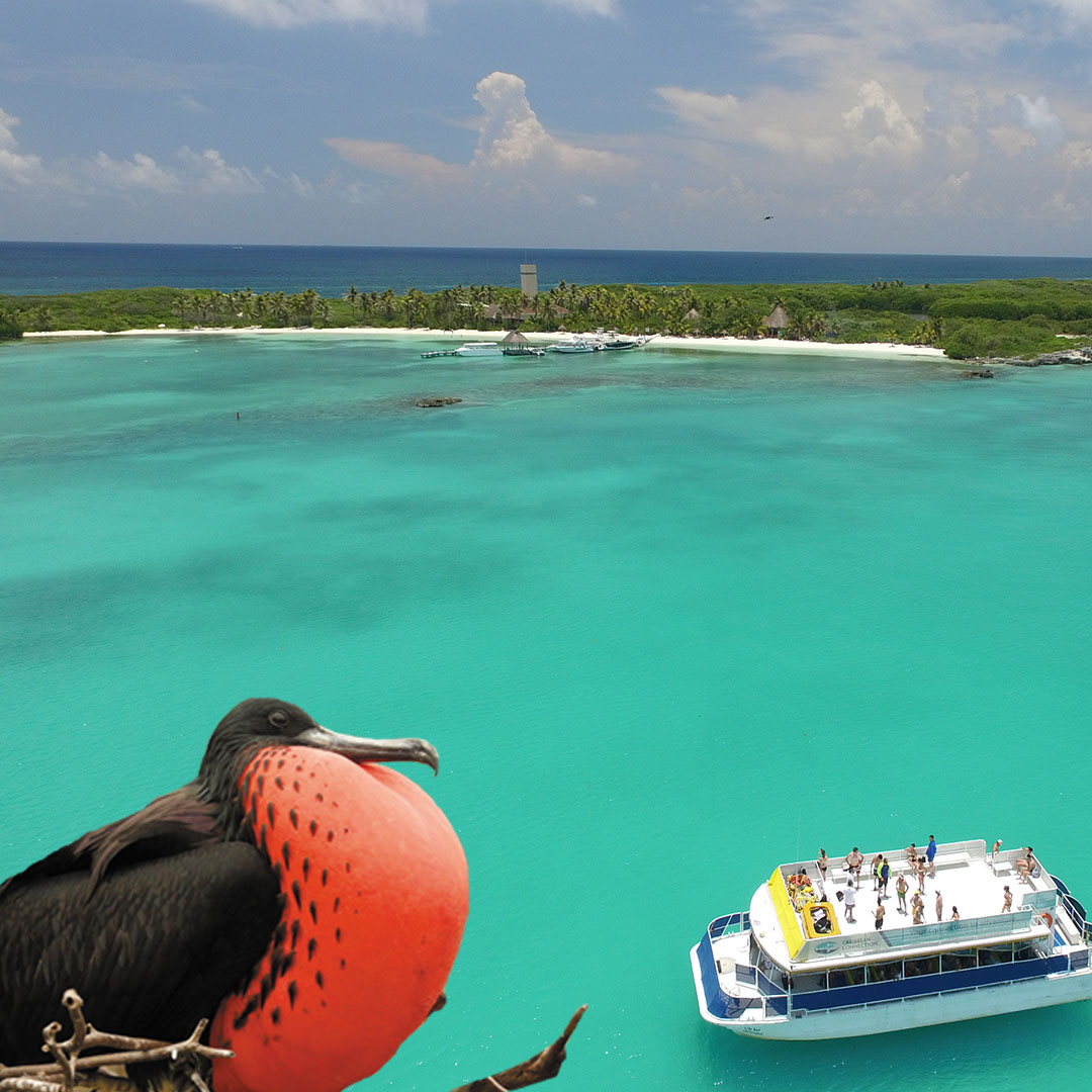 tour isla contoy e isla mujeres