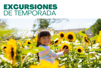 350 x 235 Viajes Balam